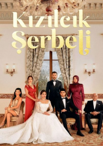 Клюквенный щербет 3