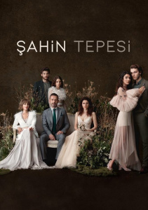 Соколиный холм