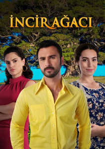 Фиговое дерево