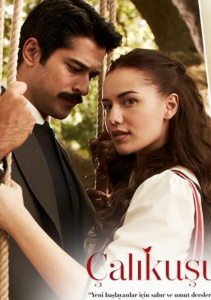 Королёк – птичка певчая